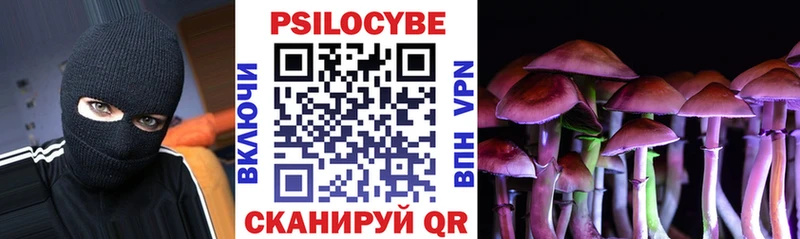 цены   Топки  Галлюциногенные грибы мицелий 